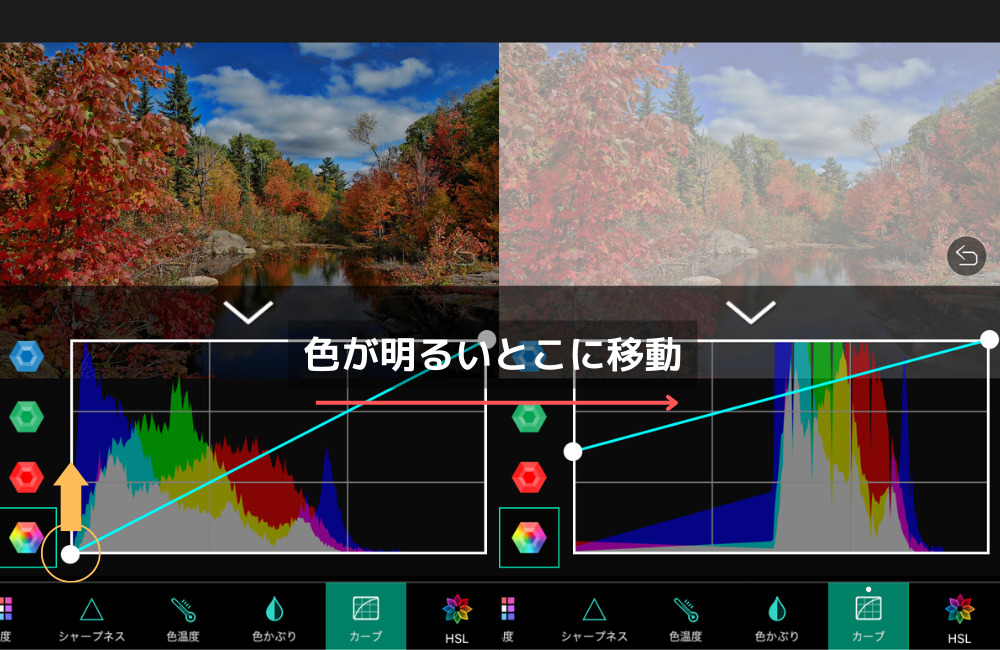 カーブ縦軸の説明
右下の丸を上に動かすと写真が明るく白くなる