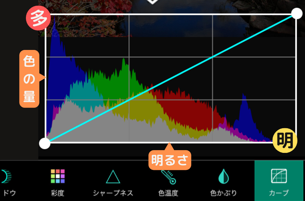 カーブのグラフの見方